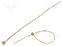 Cable tie 120x2,5mm transparent