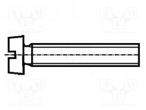 Screw, M3x10, DIN  84, Head  cheese head, slotted, polyamide, 0,8mm