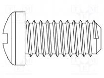 Screw, M4x10, 0.7, Head  cheese head, Phillips, polyamide