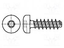 Screw, for plastic, 2x10, Head  cheese head, Torx® PLUS, steel