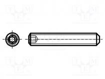 Screw, M8x8, 1.25, Head  without head, imbus, HEX 4mm, steel