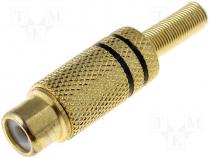 Connectors AV - Phono socket gold plated black hood