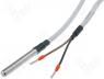 PP45-6-300 - Sensor 2 wire Pt100 100R Tol cl.B Ø6x45mm  -10÷105C
