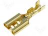 Terminal Connector - Terminal flat 4.7mm 0.5÷1mm2 gold plated female