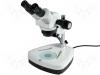 Stereo Microscopes