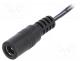 DC.CAB.2400.0025E - Cable, wires, DC 5,5/2,5 socket, straight, 0.5mm2, black, 0.25m