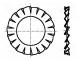 B2.5/BN781 - Washer, externally serrated, M2,5, D=5.5mm, h=0.4mm, steel, BN 781