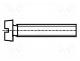 B3X10/BN1061 - Screw, M3x10, DIN  84, Head  cheese head, slotted, polyamide, 0,8mm