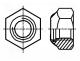   - Nut, hexagonal, M3, steel, Plating  zinc, Pitch 0,5, 5.5mm, BN 161