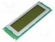 Display  LCD, graphical, 240x64, STN Positive, 176x65x13.3mm, LED