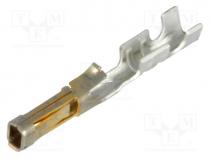 Contact, female, gold-plated, 24AWG....22AWG, SL, crimped, for cable