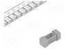 Fuse  fuse, 2.5A, 250VAC, 250V, quick blow, ceramic, 12.1x4.5mm, SMD