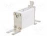 170M1419 - Fuse  fuse, ceramic,industrial, 160A, 690VAC, aR,quick blow, NH000